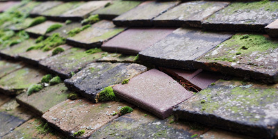 Penybedd roof repair costs